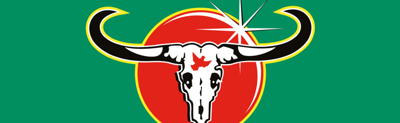 De Carabao Cup Is De Vroegere League Cup Voetbalwedden Info